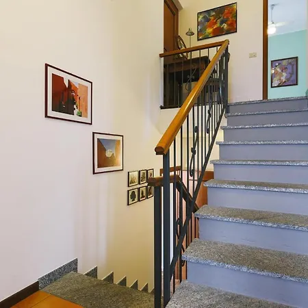 Harry's - * Лено