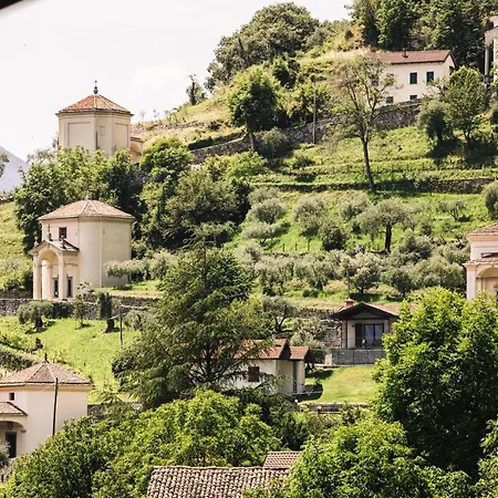 Harry's - * Лено