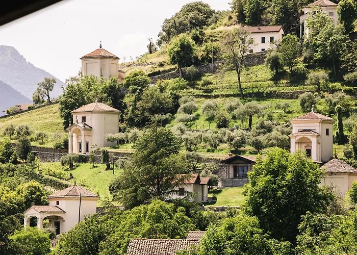 Harry's - * Лено